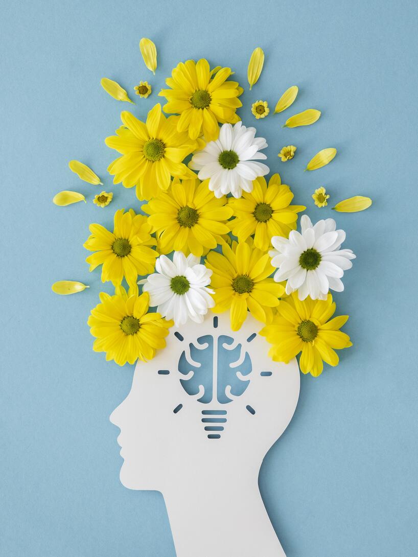 Cabinet de neuropsychologie spécialisé dans l'autisme près de Toulouse